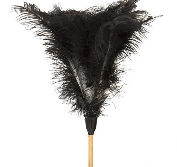 Feather Dusters Direct Cleaning Solutions